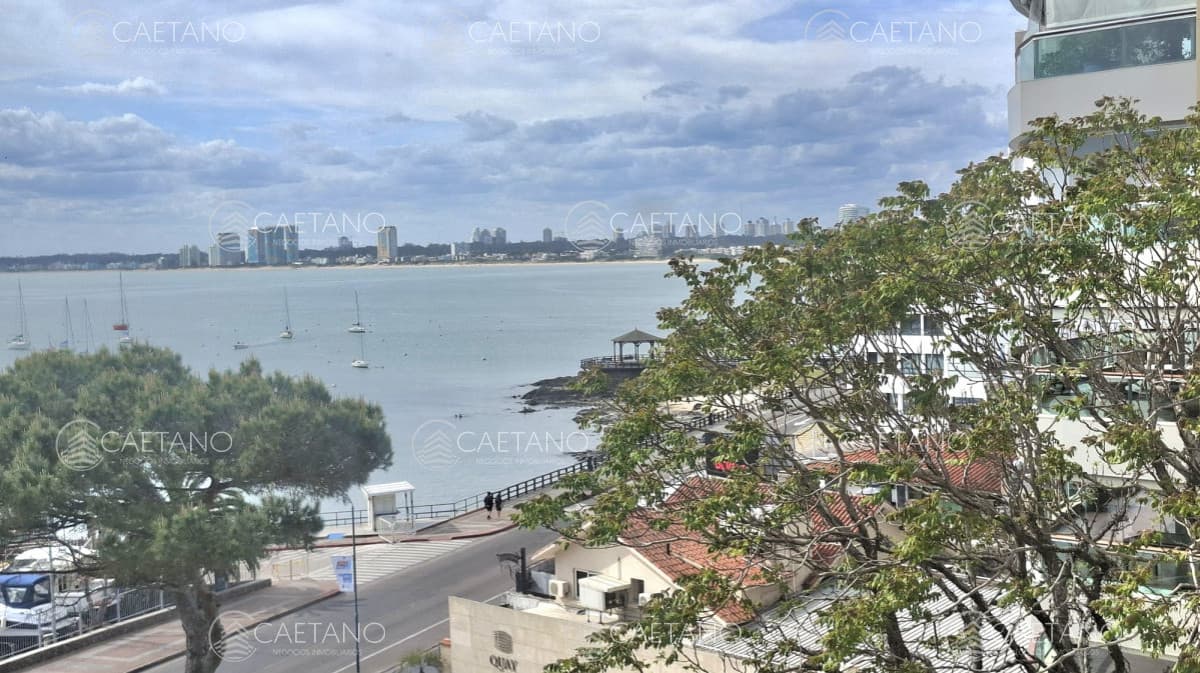 Apartamento en alquiler en Punta del Este