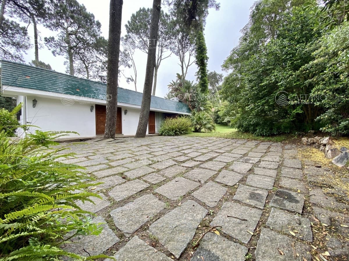 Alquiler casa con terreno de 6600m2 por Pedragosa Sierra, Punta del Este — foto 2