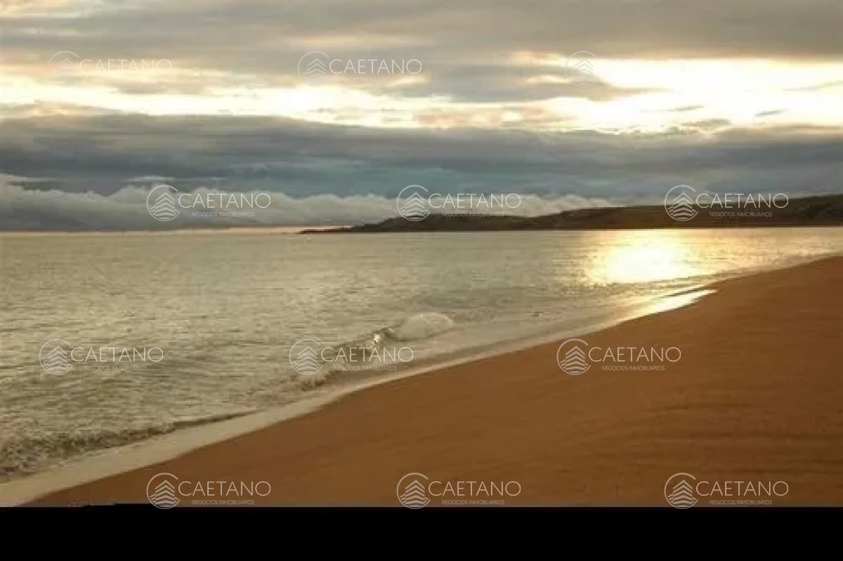 Casa en alquiler en Punta Ballena