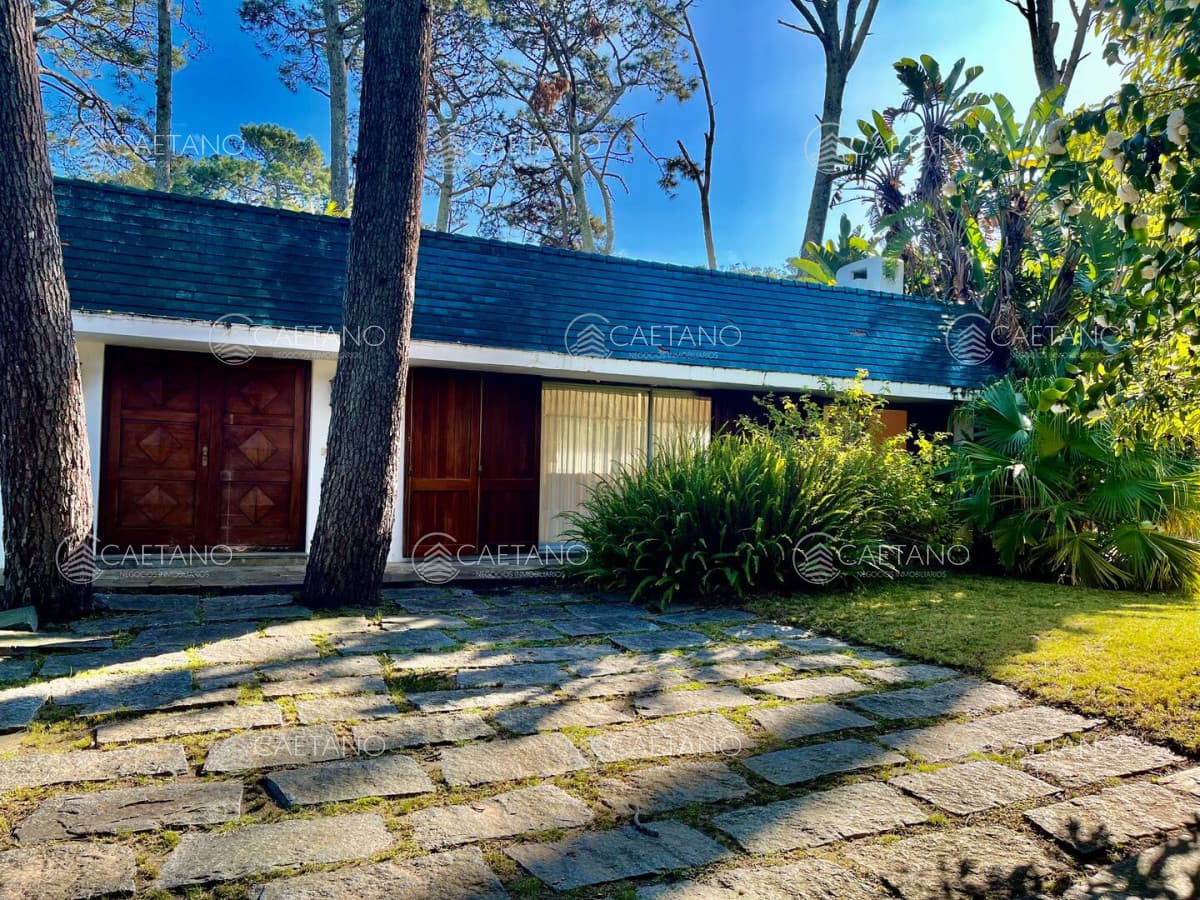 Alquiler casa con terreno de 6600m2 por Pedragosa Sierra, Punta del Este