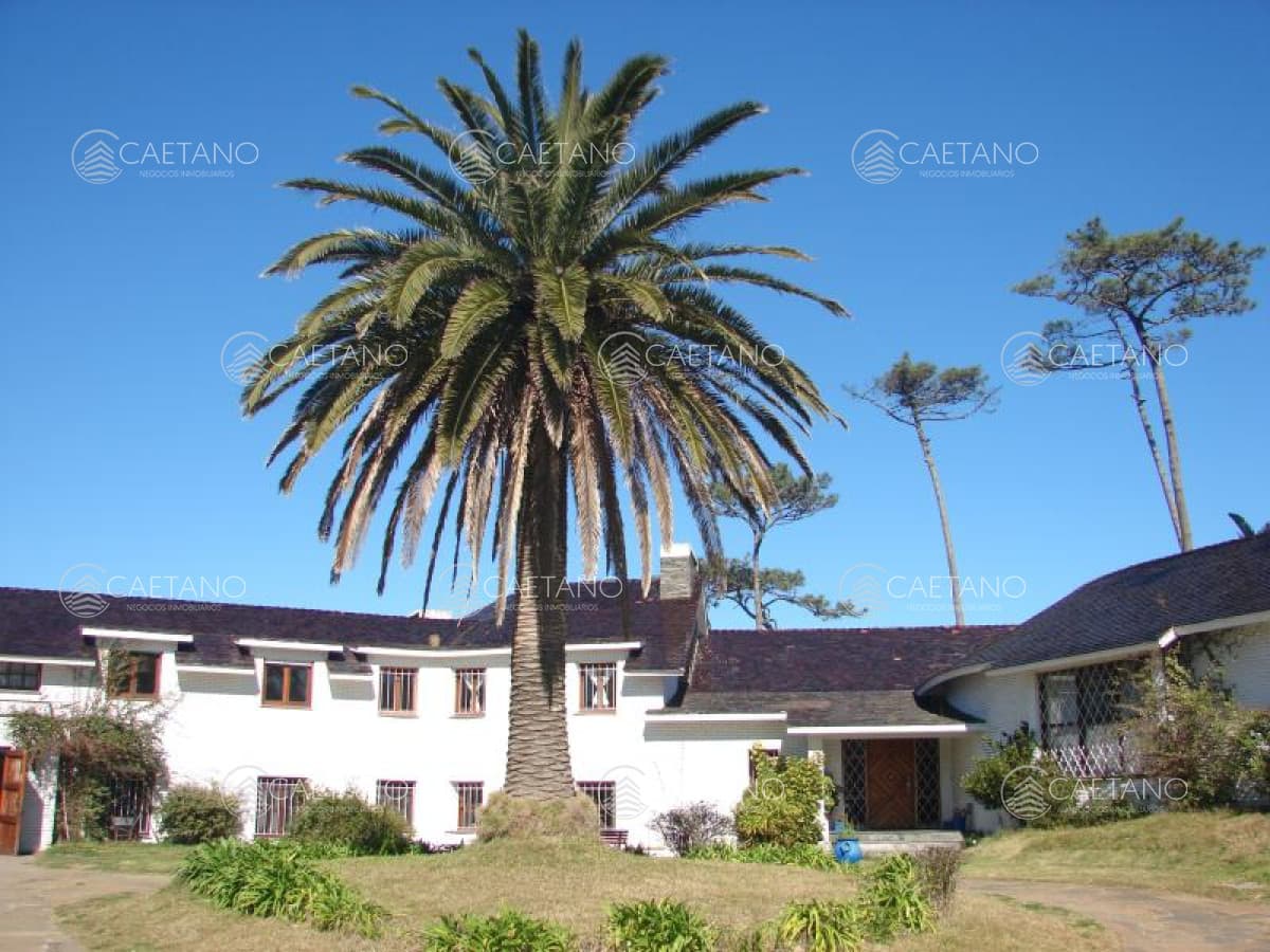 Venta casa 5 dormitorios primera linea playa mansa Punta del Este — foto 2