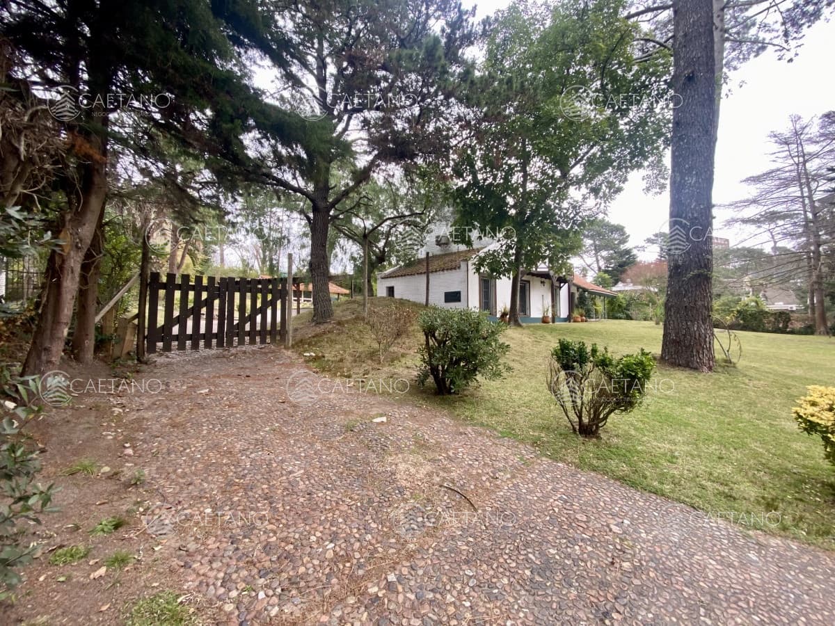 Venta casa 4 dormitorios playa mansa Punta del Este — foto 3