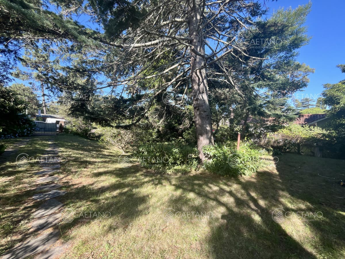 Venta casa 3 dormitorios. Pinares, Punta del Este — foto 3