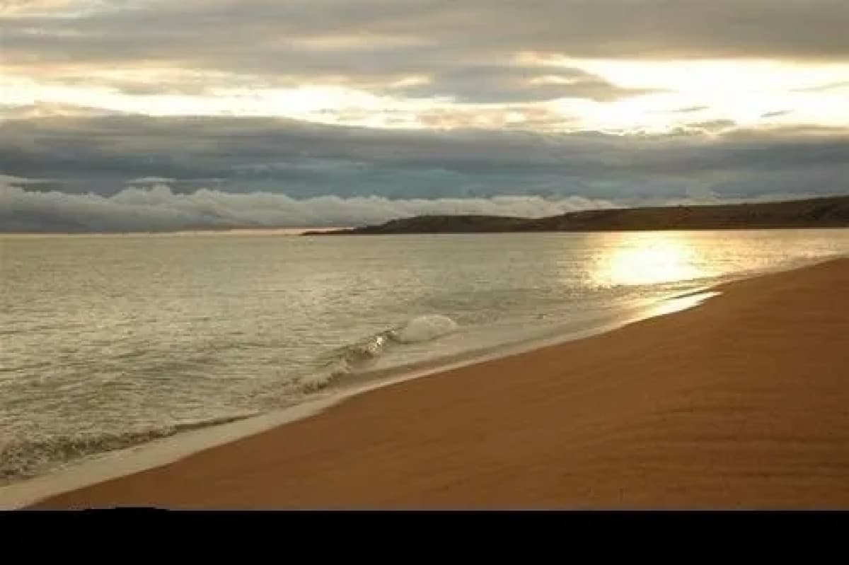 En alquiler anual, imperdible punto, excelentes vistas!!!