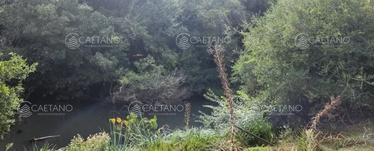 venta chacras ruta 12 Maldonado — foto 2