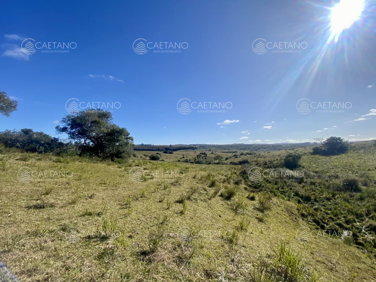 Venta chacra 5 hectáreas. Pueblo Edén, Maldonado. — foto 3