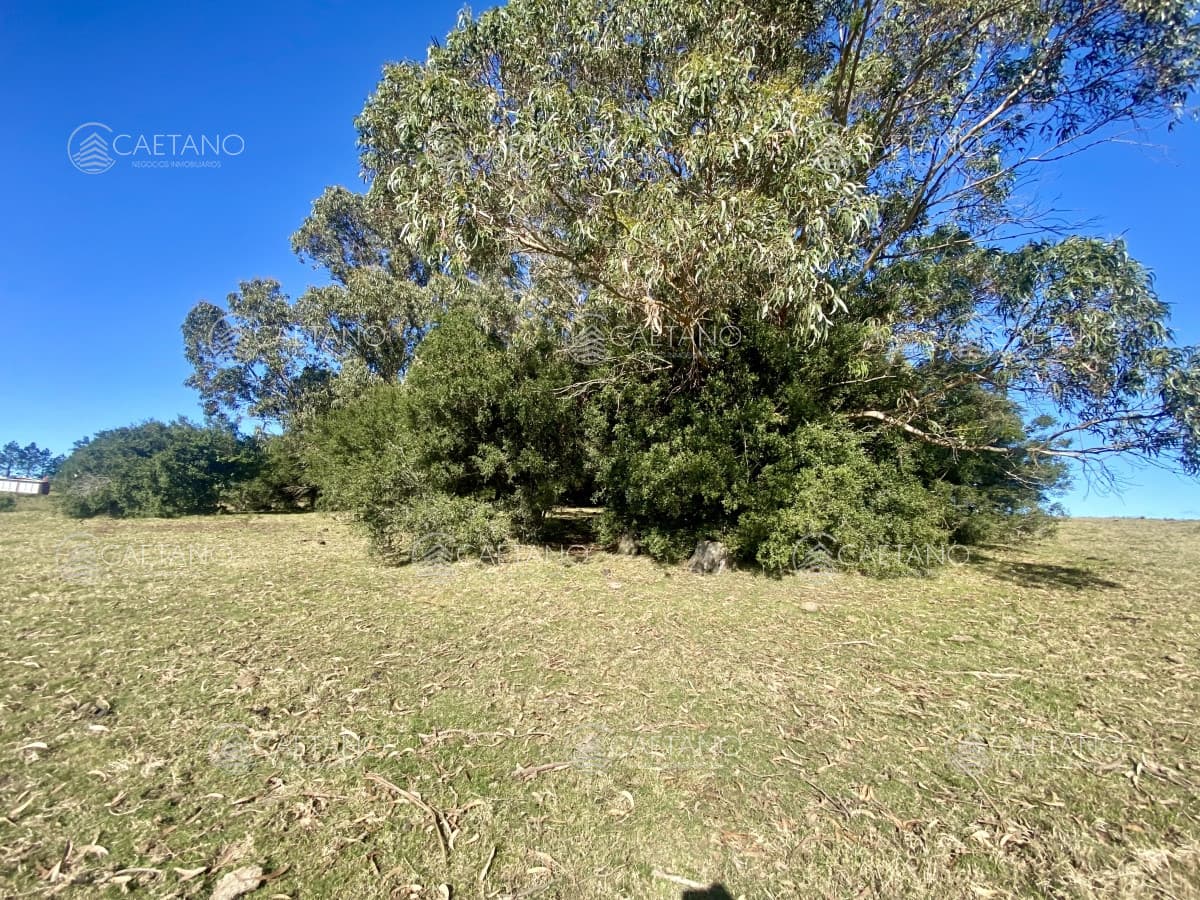 Venta chacra 5 hectáreas. Pueblo Edén, Maldonado. — foto 2