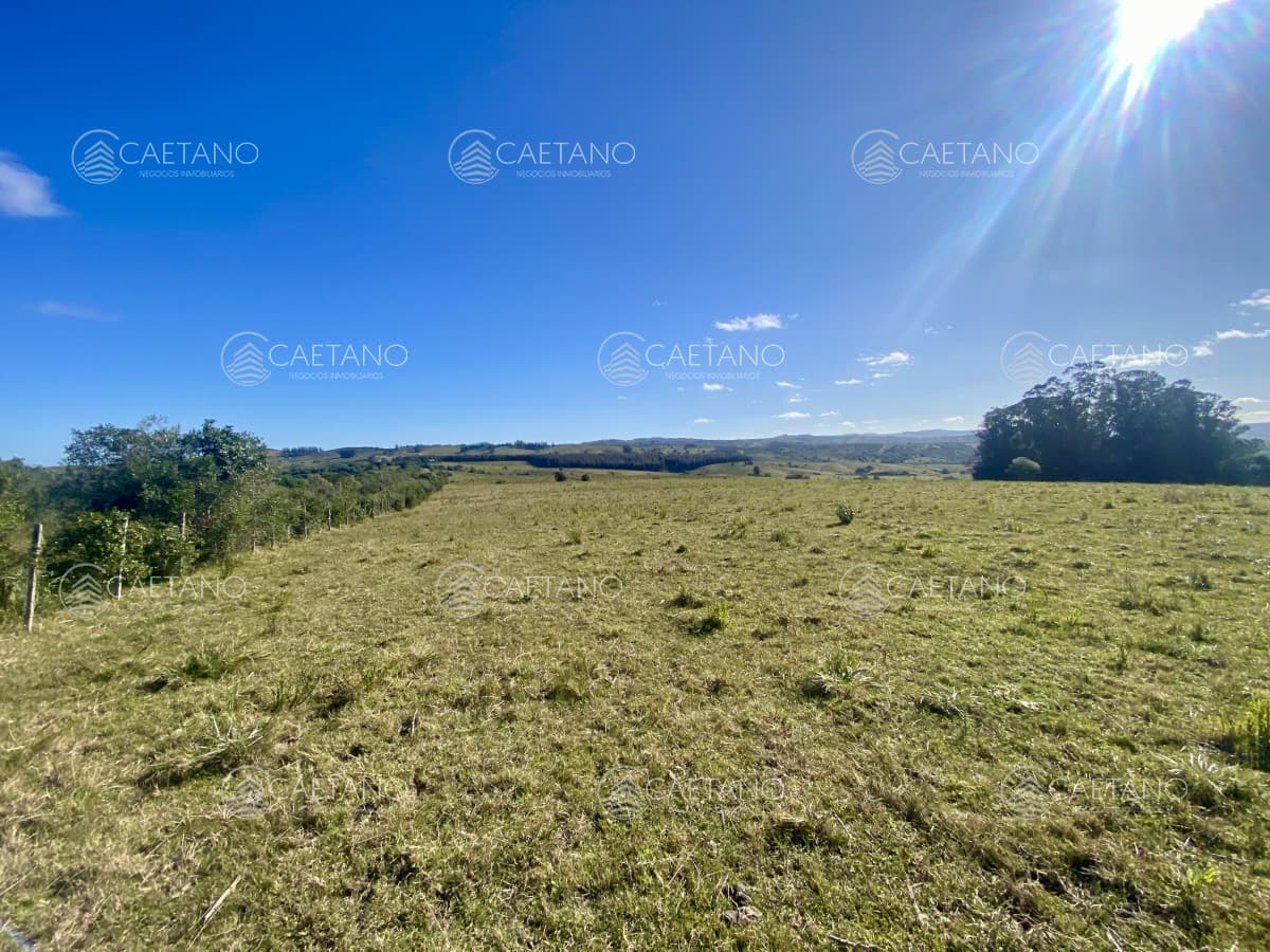 Venta chacra 5 hectáreas. Pueblo Edén, Maldonado.