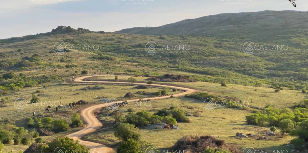 Venta chacra 5 hectáreas. Pueblo Edén, Ruta 12 Maldonado.