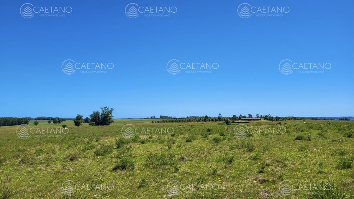 Venta chacra Jose Ignacio con costa Arroyo Anastasio — foto 3