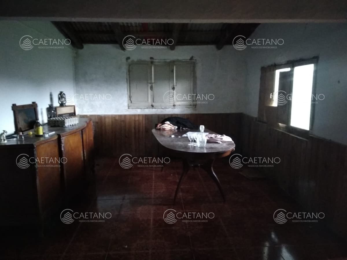 Vendo excelente chacra de 39 hectáreas para granja turística o tambo, Aiguá, Punta del Este — foto 2