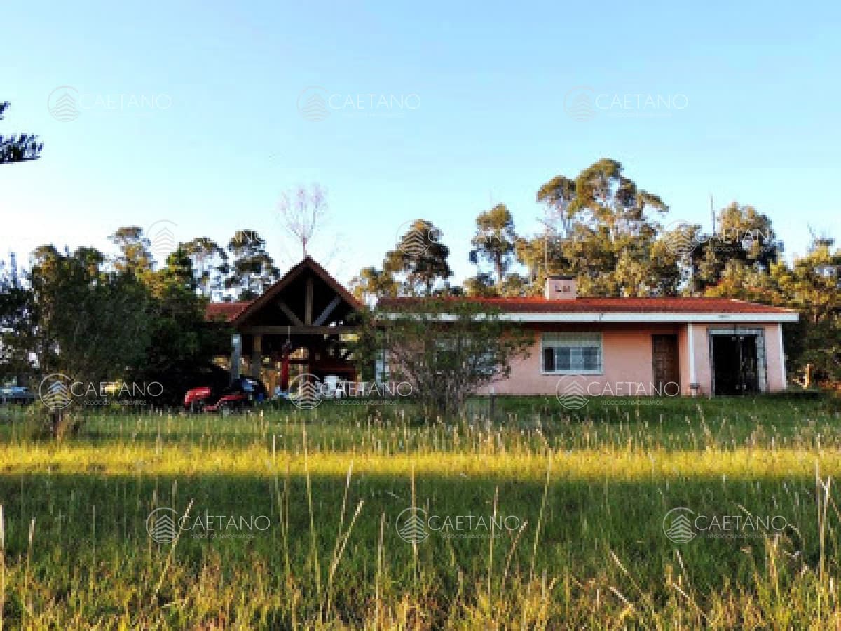 Casa en alquiler en Pan de Azucar — foto 3