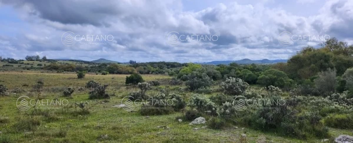 venta chacras ruta 12 Maldonado