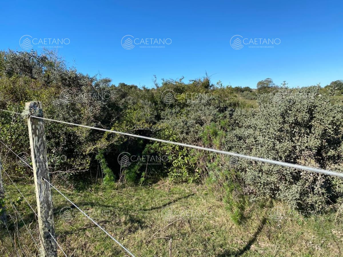 En venta, chacra con vistas panorámicas — foto 3