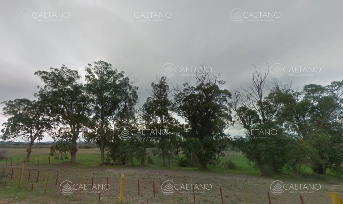 Venta chacra en Punta del Este — foto 3