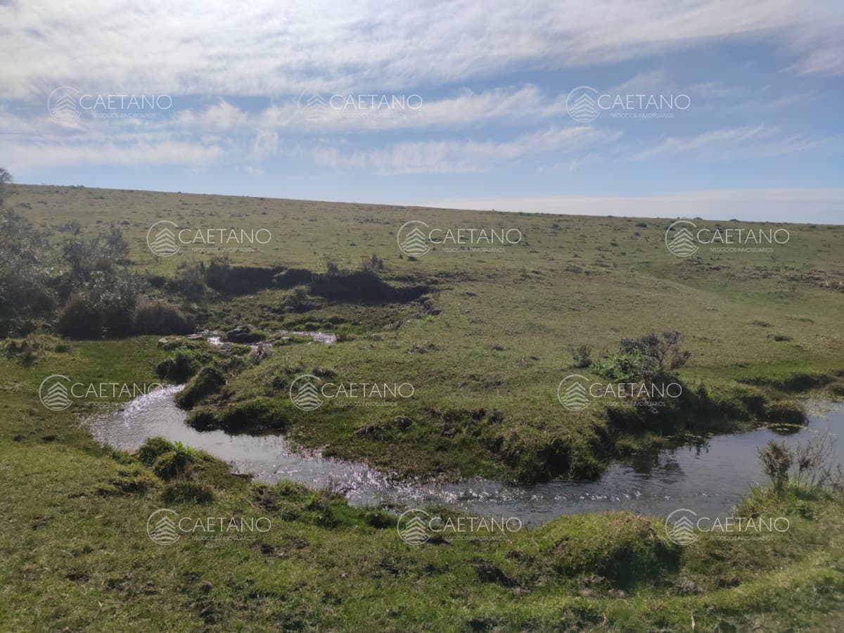 Chacras de 5hs en Ruta 12, Excelente ubicación — foto 2