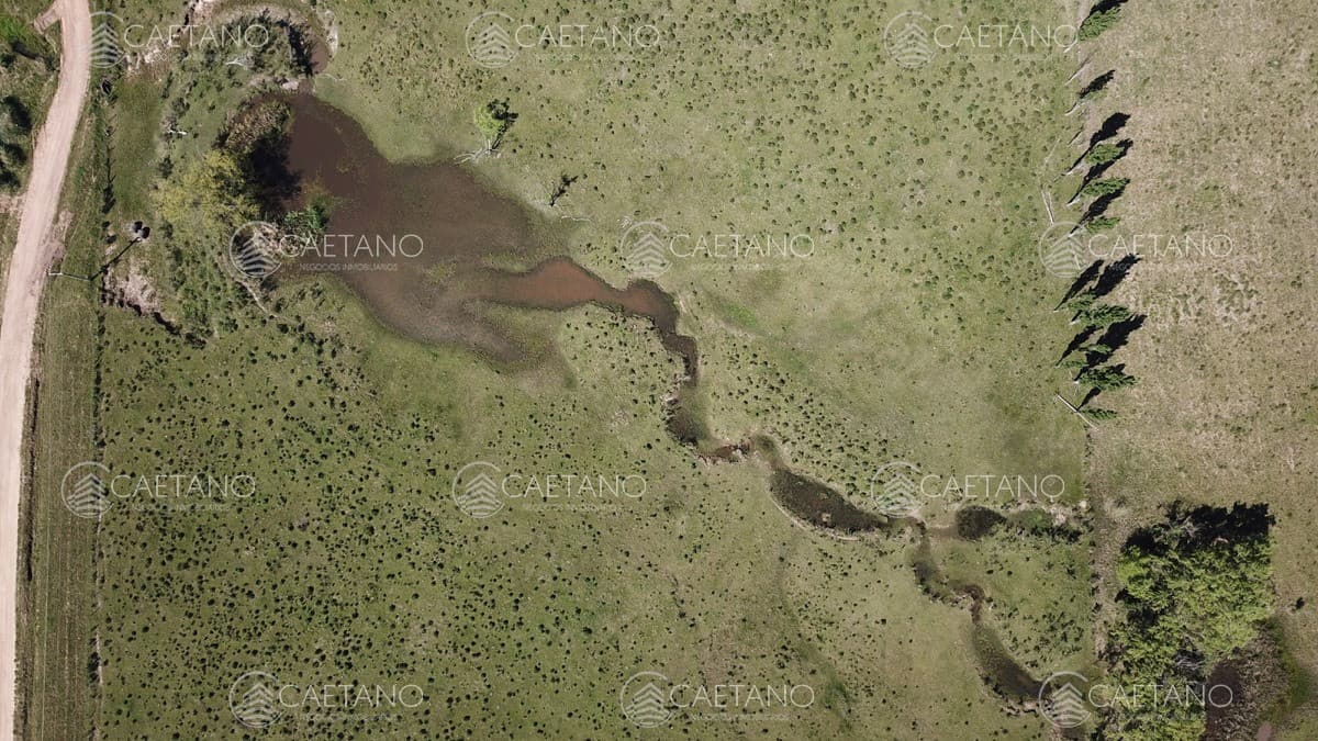 Chacra 5 hectáreas ruta 12 Maldonado — foto 3