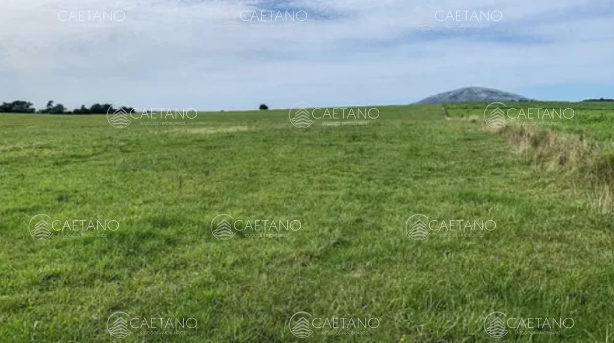 Chacra 5 hectáreas ruta interbancaria Maldonado — foto 3