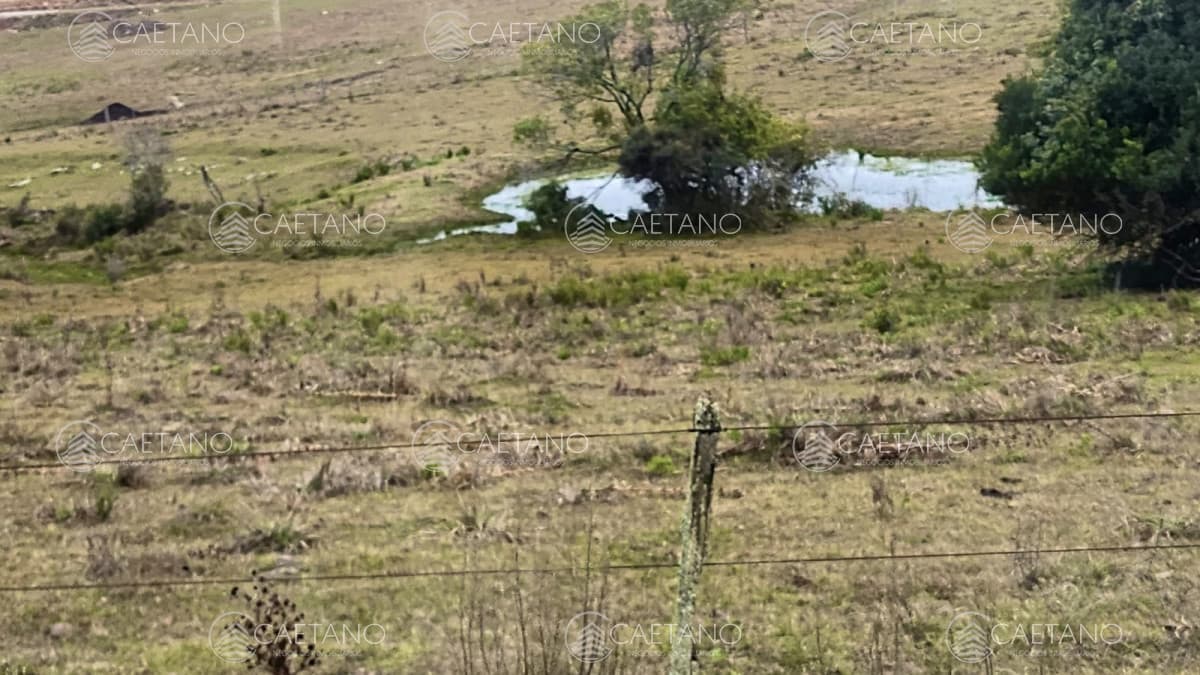Venta chacra Pueblo Edén 5.5 hás — foto 2