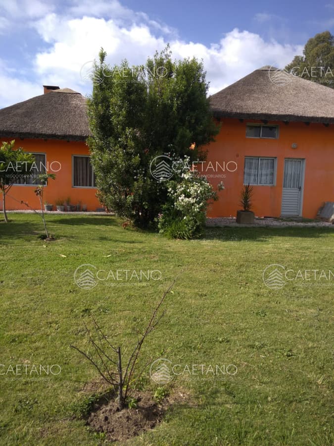 Casa en alquiler en Punta del Este — foto 3