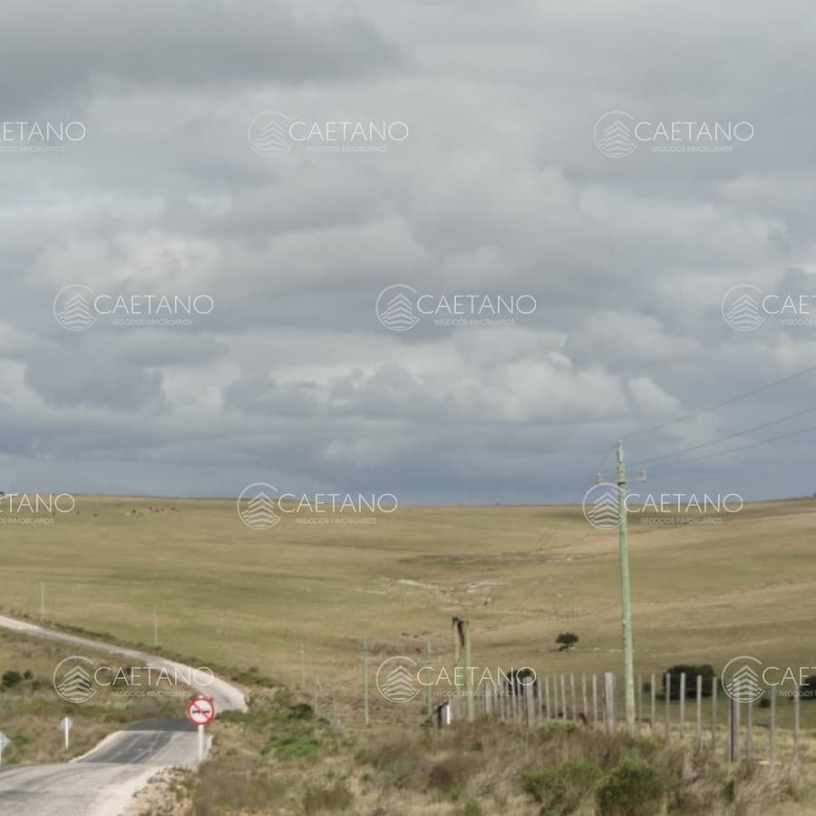 Vendo chacra de 5 ha a metros de Ruta 12, pasando Pueblo Eden, Maldonado. — foto 2