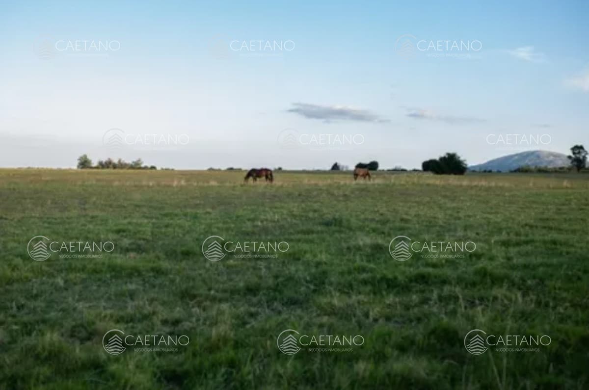 Chacra 5 hectáreas ruta interbancaria Maldonado — foto 2
