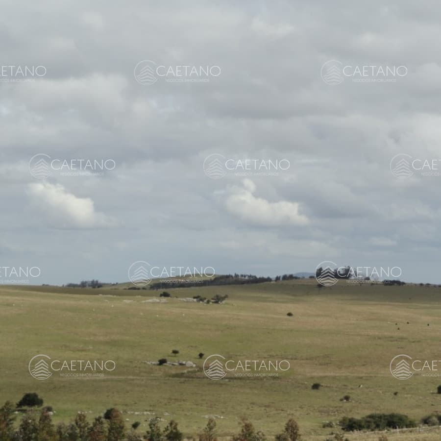 Vendo chacra de 5 ha a metros de Ruta 12, pasando Pueblo Eden, Maldonado.