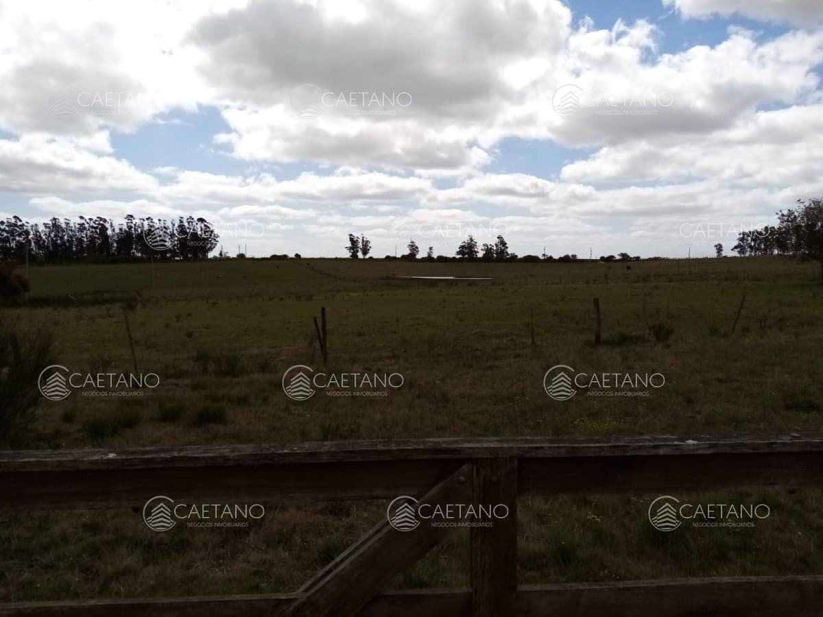 Venta chacra
