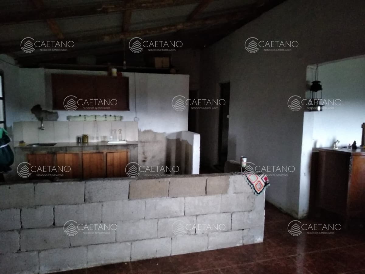 Vendo excelente chacra de 39 hectáreas para granja turística o tambo, Aiguá, Punta del Este — foto 3