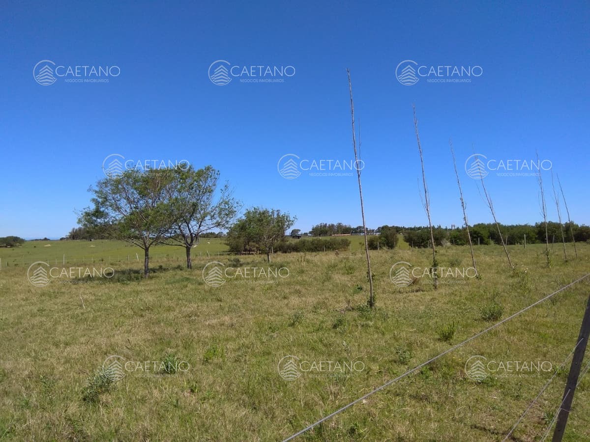 En venta yo permuta por casa o Depto en Punta del Este, Maldonado. — foto 2