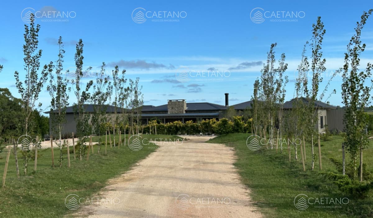 Casa en alquiler en Jose Ignacio — foto 3