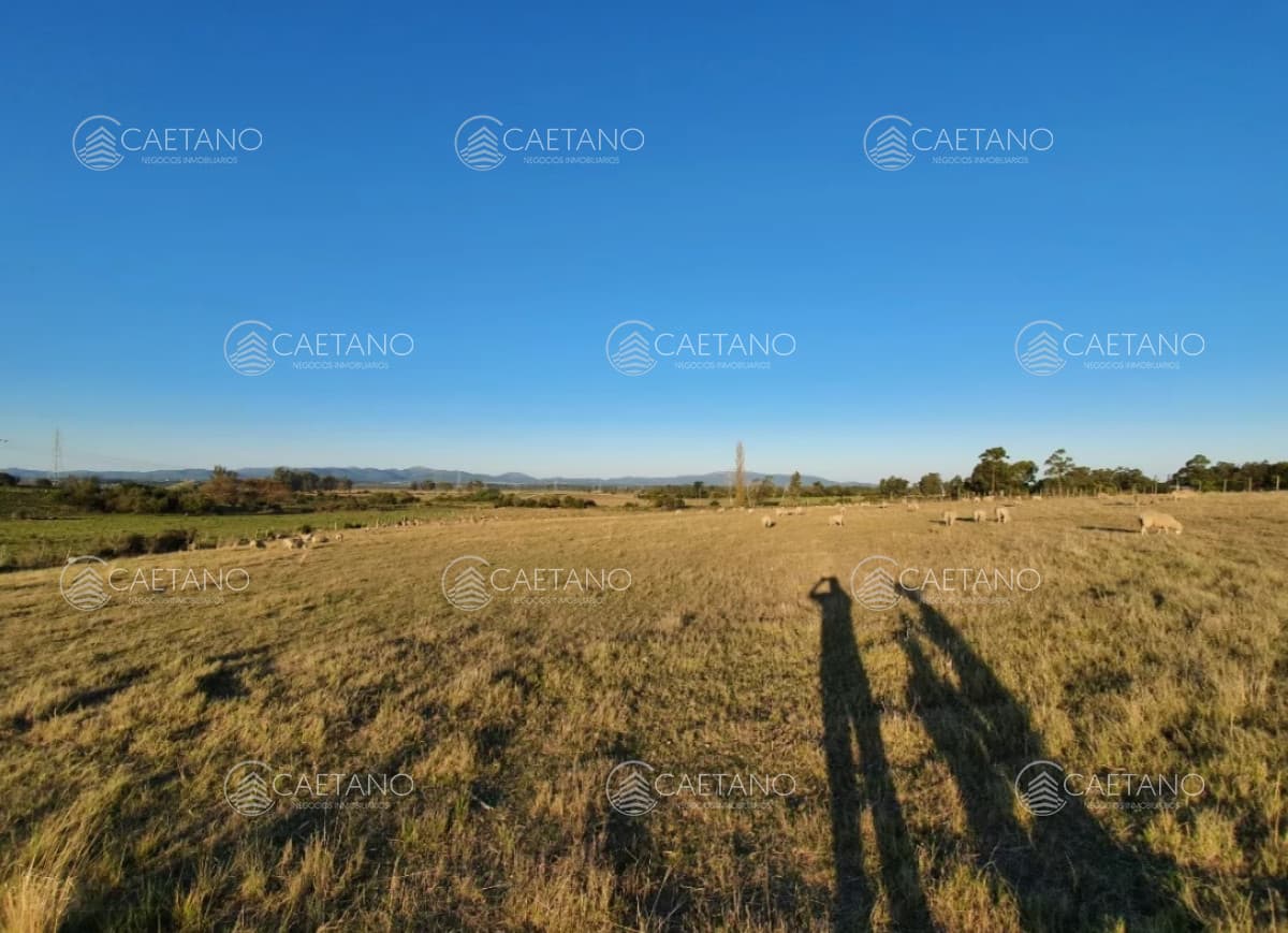 Venta de chacra en Canelones — foto 2