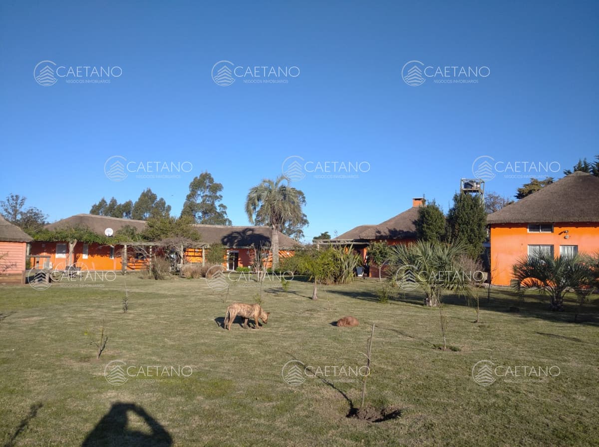 Casa en alquiler en Punta del Este