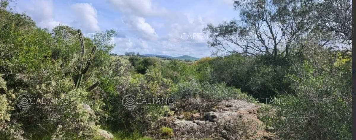 venta chacras ruta 12 Maldonado — foto 3