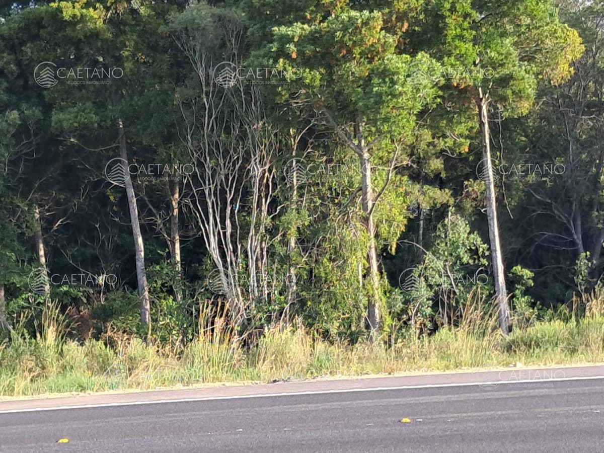 Venta Chacra Ruta 9 — foto 3