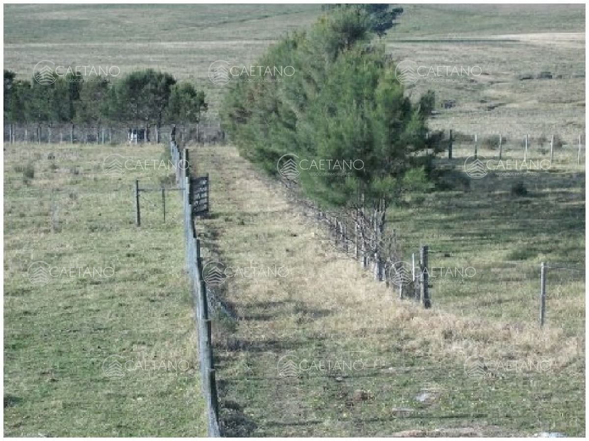 Vendo chacra 5 hectareas, a metros de ruta 12, entre Solanas y Ruta 9. — foto 3