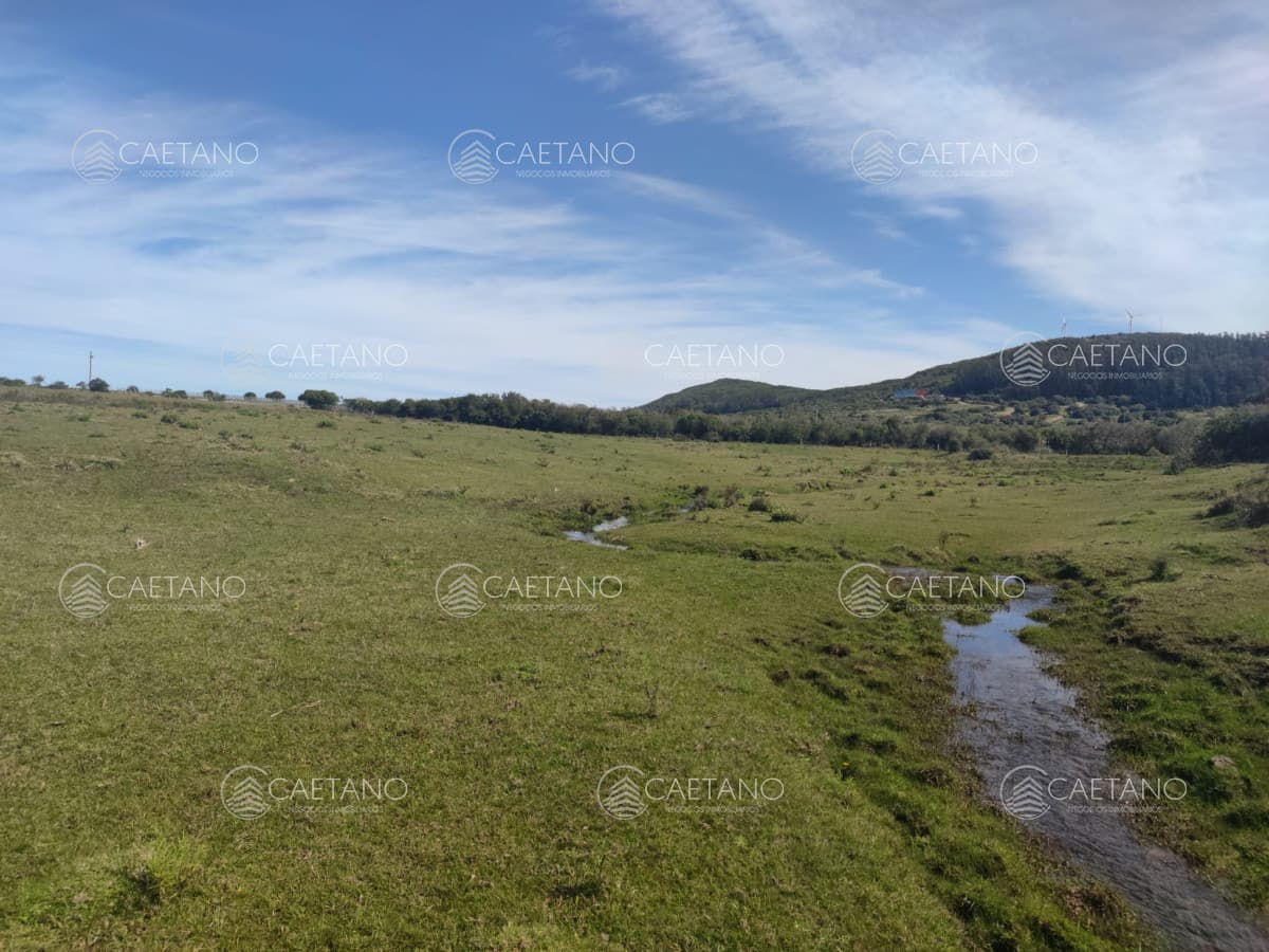 Chacras de 5hs en Ruta 12, Excelente ubicación — foto 3