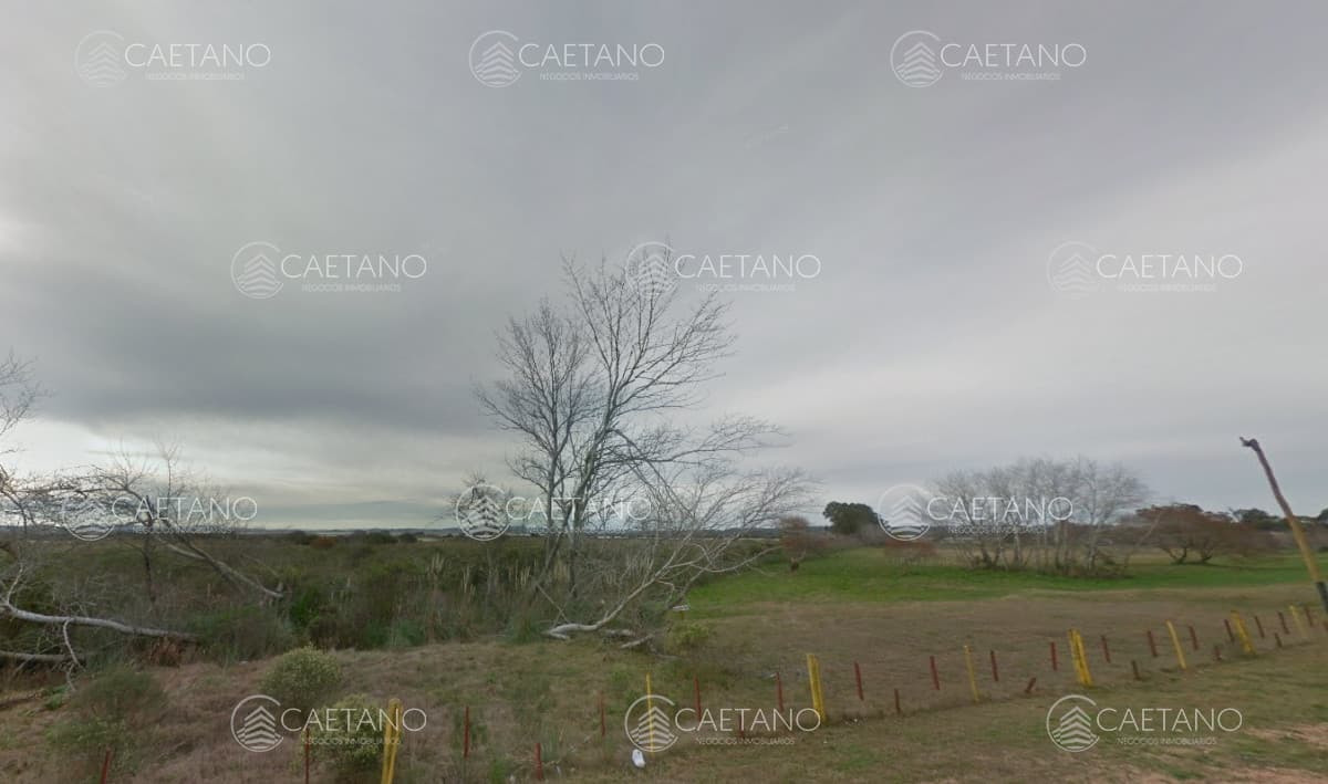 Venta chacra en Punta del Este — foto 2