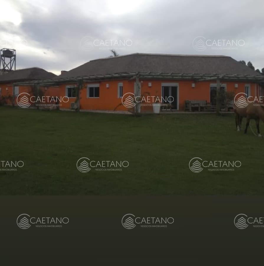 Casa en alquiler en Punta del Este — foto 2