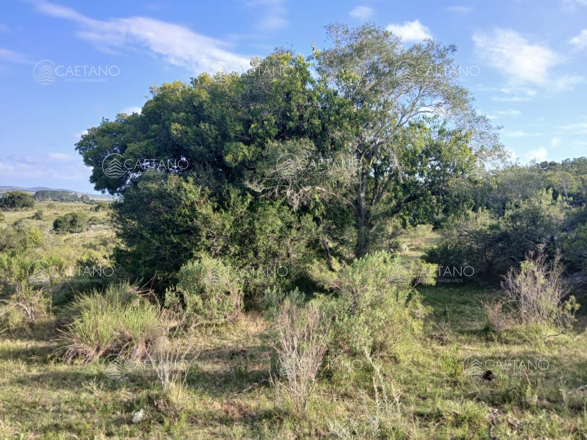 21 has en pueblo Eden con costa de arroyo — foto 2