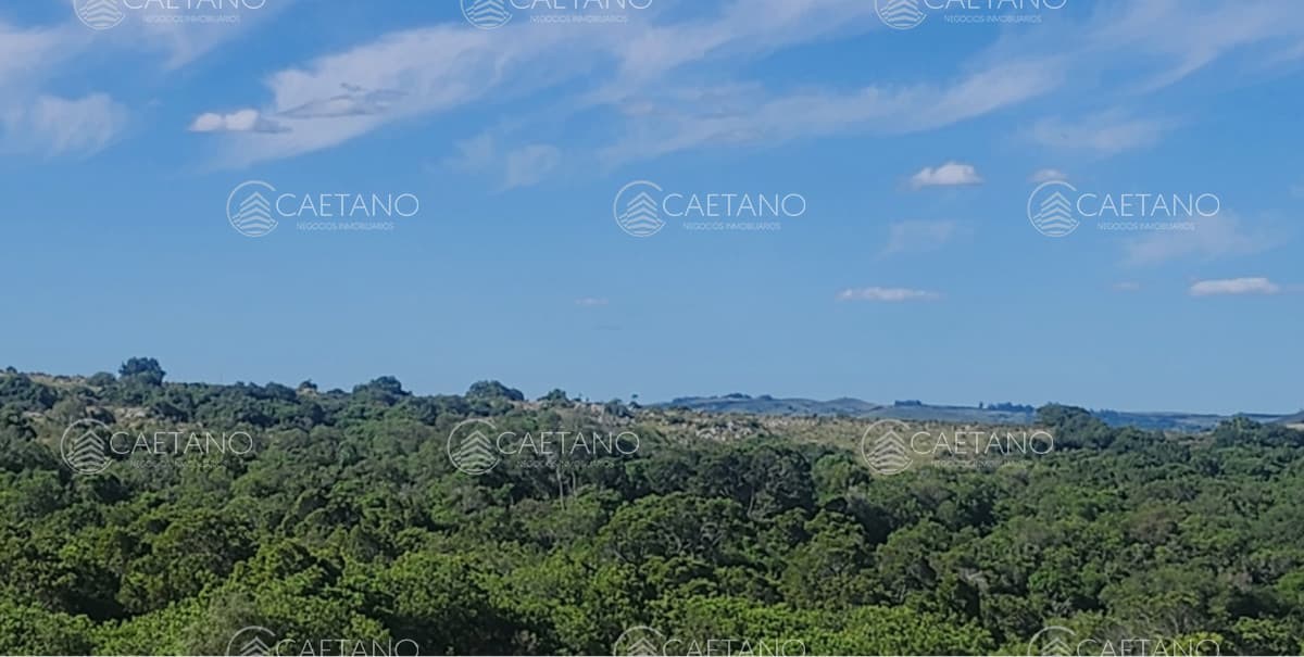 Chacra en venta en Pueblo Eden — foto 2