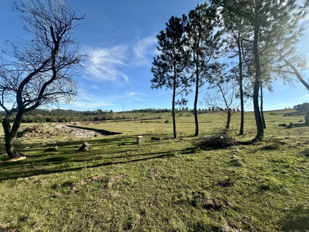 venta chacra 3 hectáreas Punta Ballena.