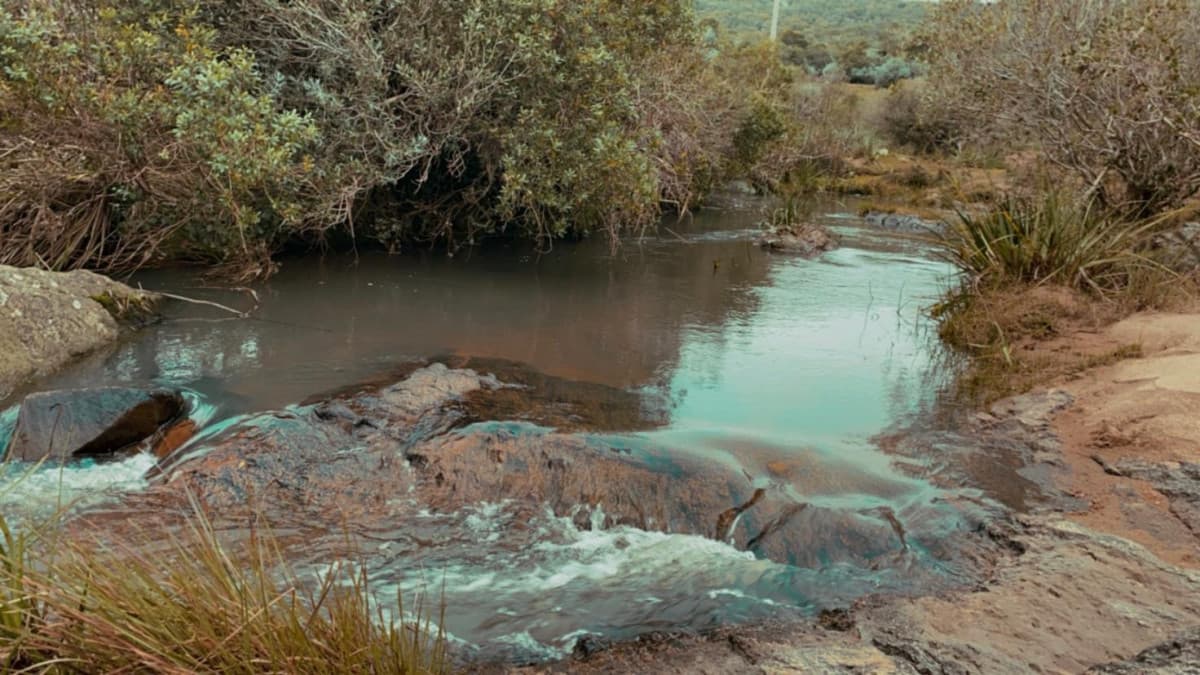 Chacra en venta en Aigua