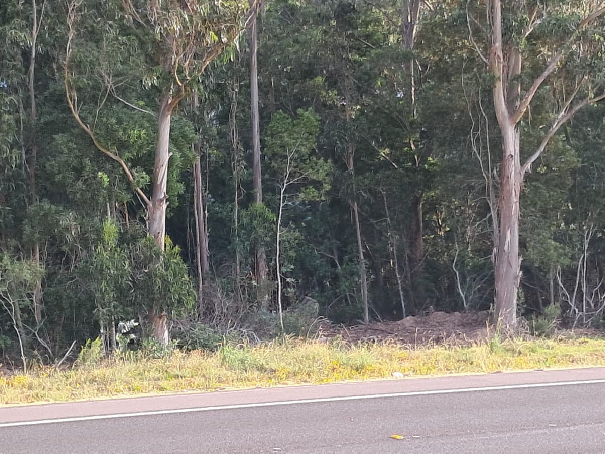 Venta Chacra Ruta 9