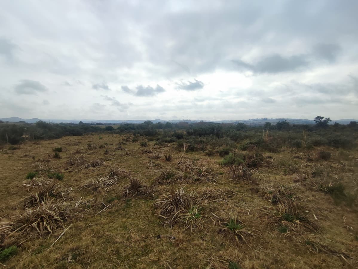 Venta chacra con costa arroyo. Ruta 12 Maldonado