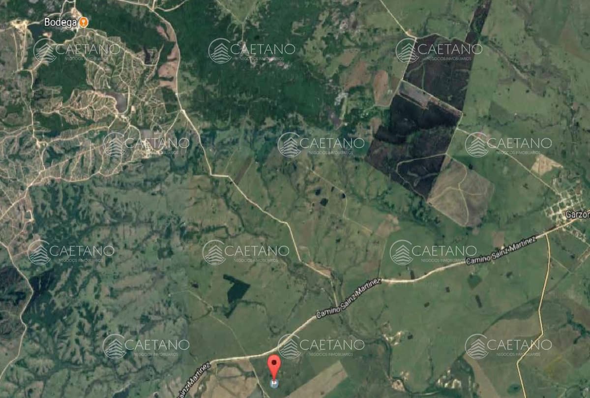 Excelente campo de 113 hectáreas ubicado en Garzón — foto 2