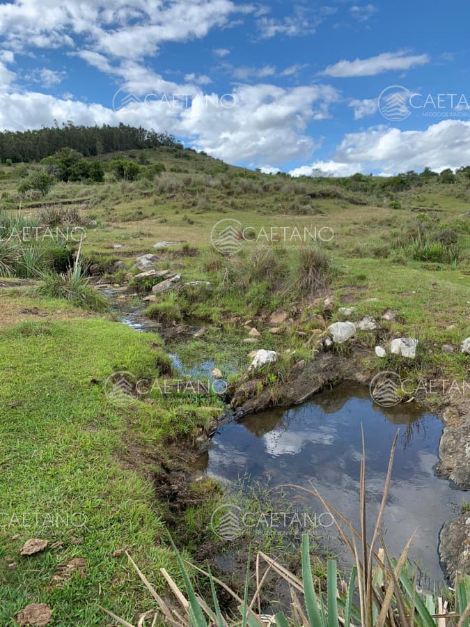 Campo en venta 39 has Aigua — foto 3