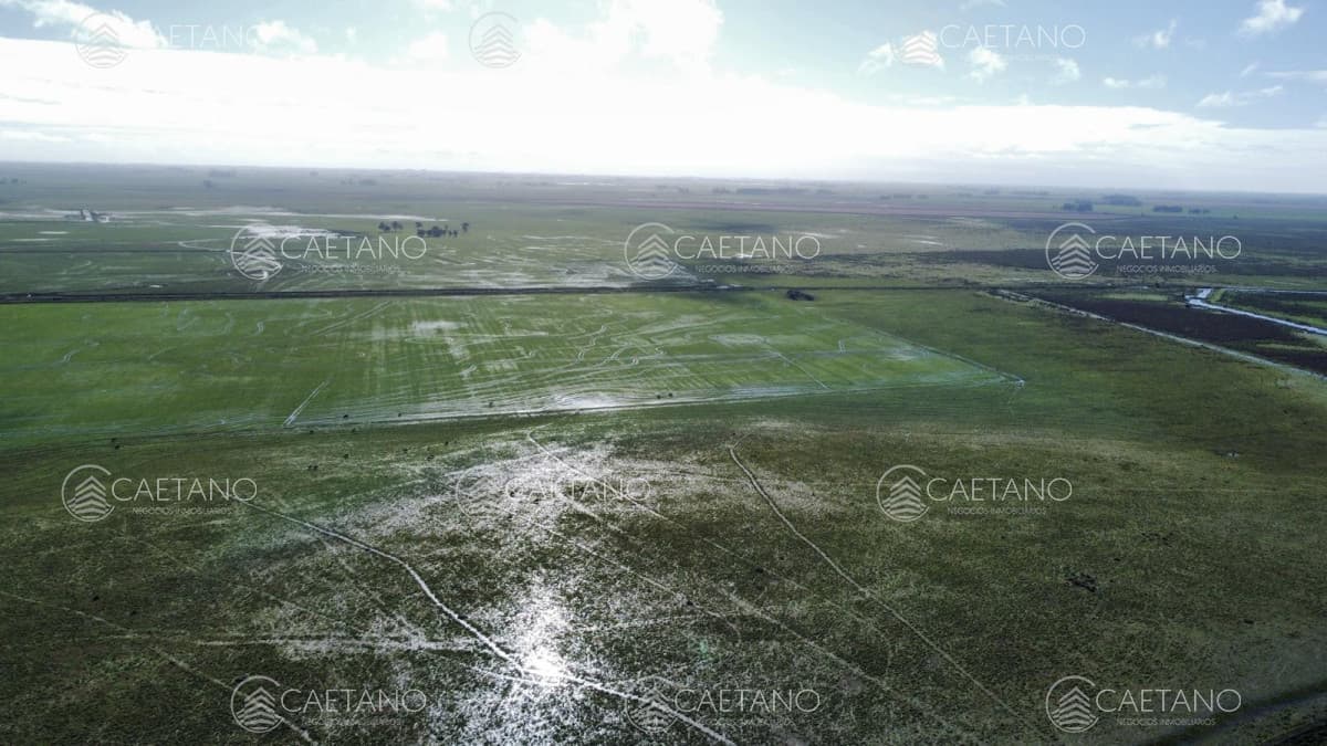 Venta campo agricola ganadero, Lascano Rocha — foto 2