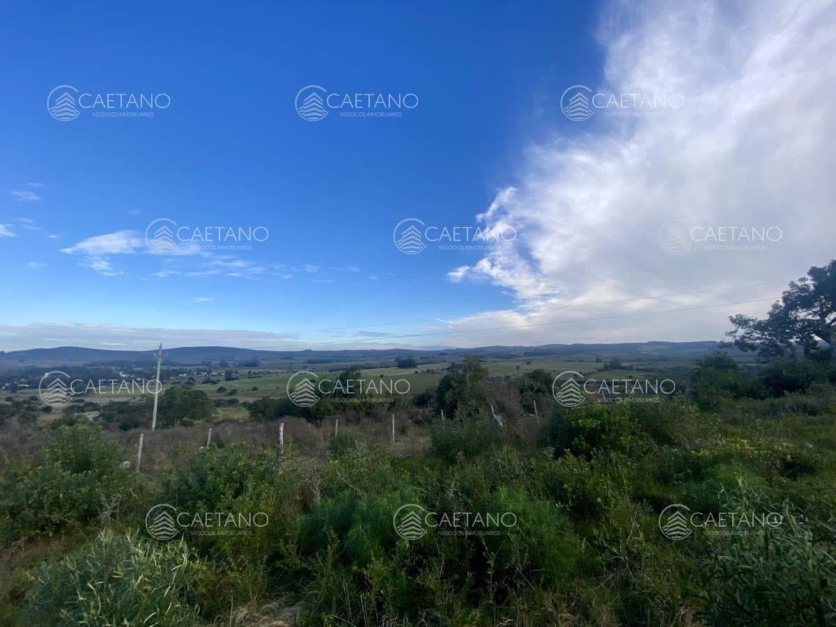 Venta campo 261 hectareas. Ruta 12 Maldonado. — foto 2