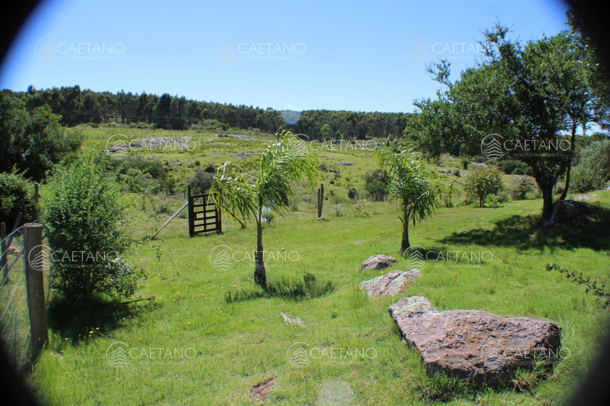 En venta, campo con casa y acceso directo desde ruta 12. Excelentes vistas. — foto 2